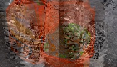 Gemeindepräsident Andreas Bernold sagt: «Der Neophytensack ist eine praktische Lösung für alle»