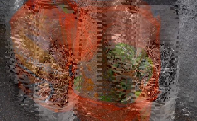 Gemeindepräsident Andreas Bernold sagt: «Der Neophytensack ist eine praktische Lösung für alle»