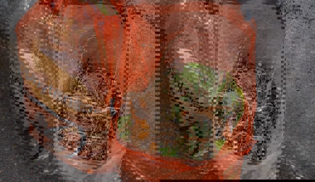  Dank Neophytensäcken können sich entsorgte Pflanzen nachträglich nicht mehr vermehren. 