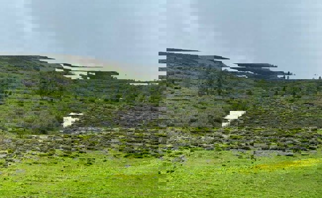 So früh wie noch nie: Am Pfingstmontag war der Schneefleck auf Arin weg