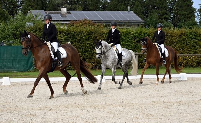 Werdenberger reiten aufs Mannschaftspodest