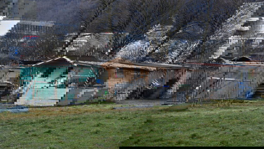  Rund 100 Kleinpflanzerinnen und Kleinpflanzer sind von den Plänen der Ortsgemeinde Buchs betroffen. 