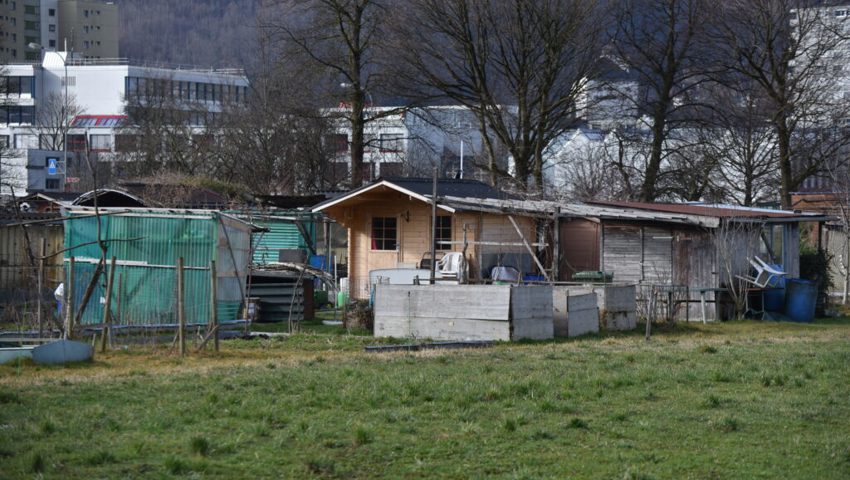  Rund 100 Kleinpflanzerinnen und Kleinpflanzer sind von den Plänen der Ortsgemeinde Buchs betroffen. 