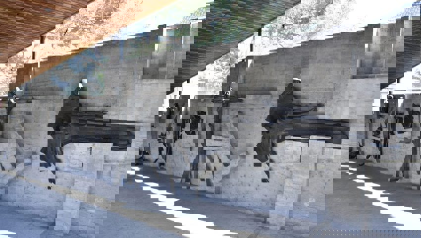  Der Aufgang zur katholischen Kirche in Buchs. 