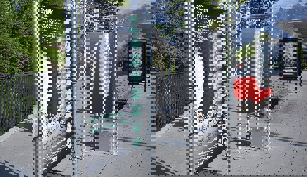  «Jeder kann teilnehmen»: Die Bewerbungsfrist läuft noch bis zum 21. Januar. 