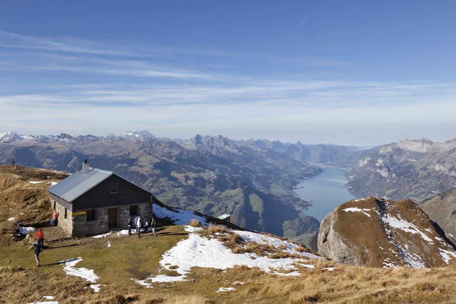 Der Wolf geht um: Wanderer entdeckt gerissene Schafe