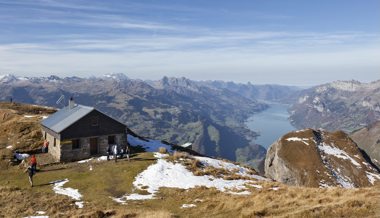 Der Wolf geht um: Wanderer entdeckt gerissene Schafe