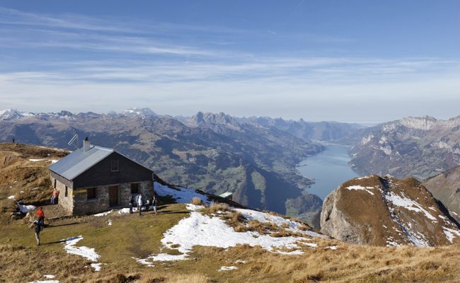Der Wolf geht um: Wanderer entdeckt gerissene Schafe