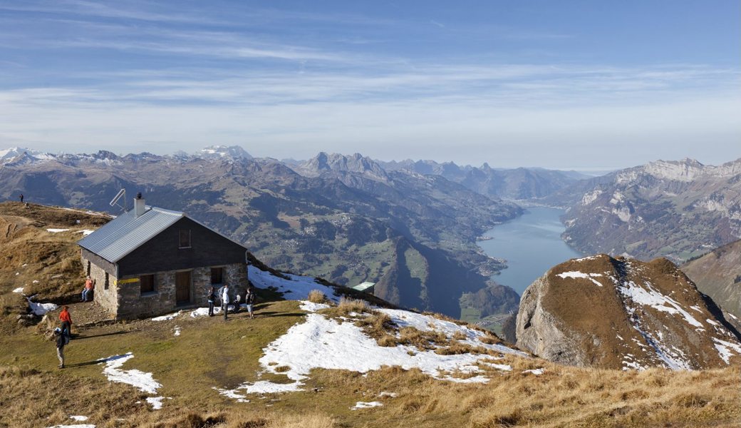 Die toten Schafe sind frühmorgens unweit der Alvierhütte von einem Wanderer entdeckt worden. Der Alphirt hat die restlichen Tiere dann zur Schaner Alp hinabgetrieben und von ihren Eigentümern abholen lassen.