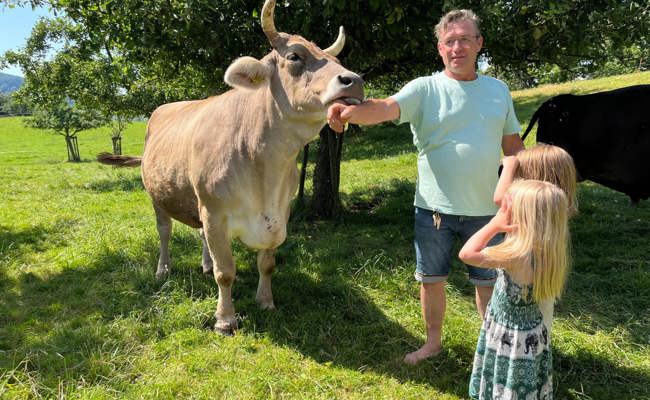 PFAS als Wendepunkt: Wie aus einem Bauernhof ein Altersheim für Kühe wurde