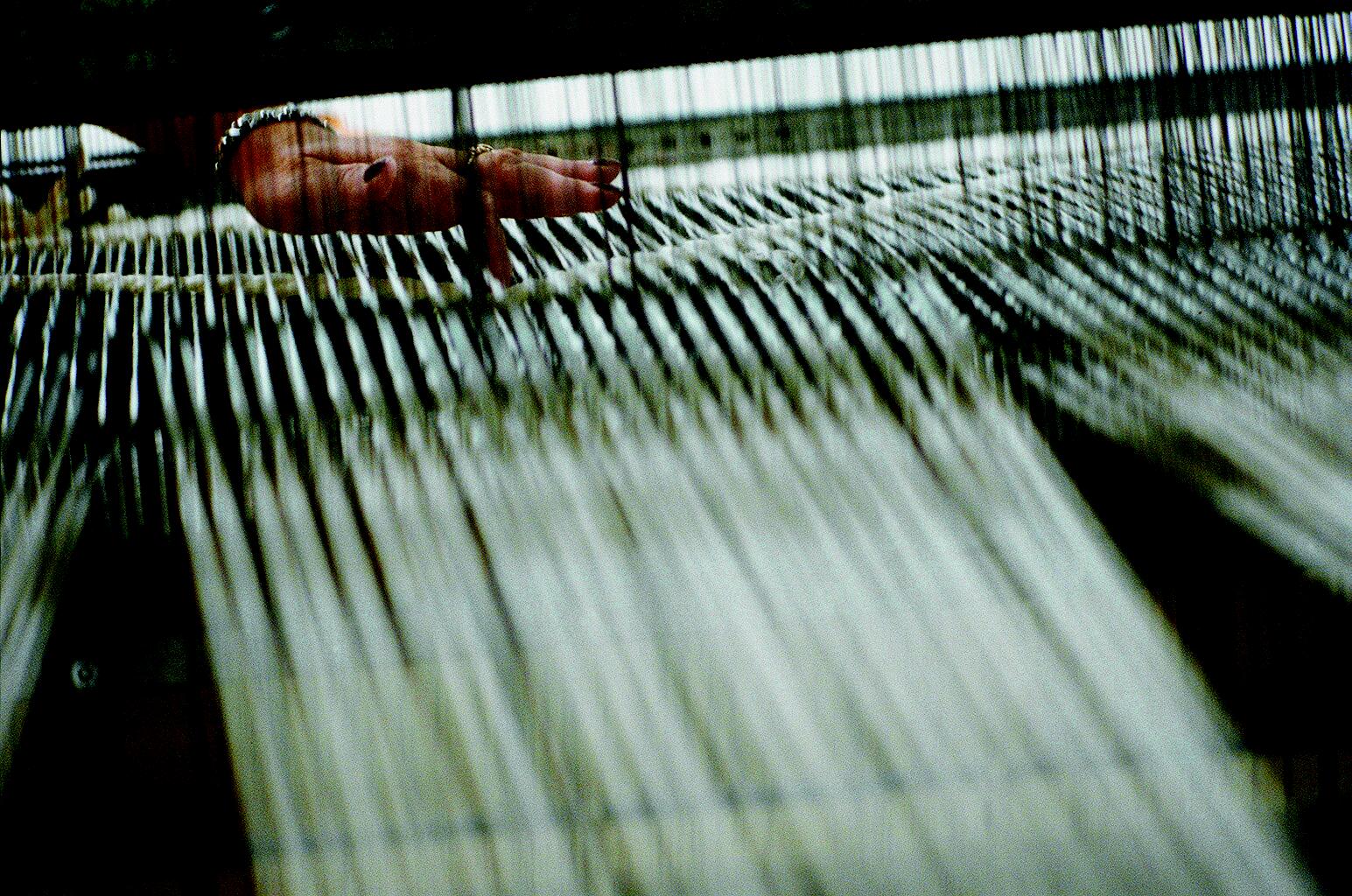 Tisca Tischhauser für KMU-Preis nominiert