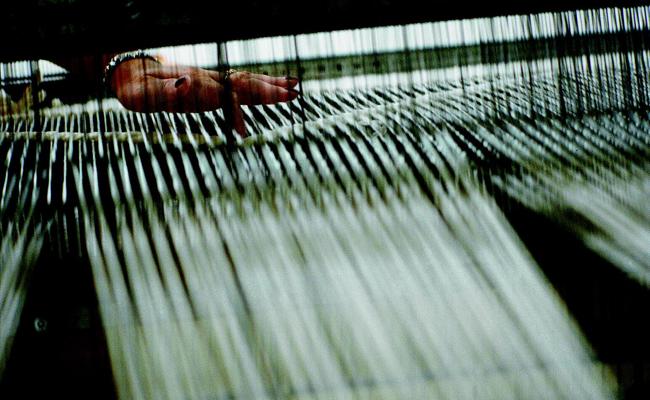 Tisca Tischhauser für KMU-Preis nominiert