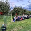Felddinner: Wetterglück und Genuss unter freiem Himmel