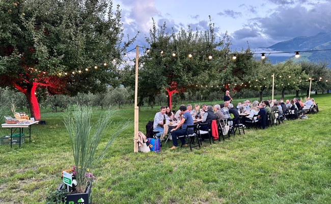 Felddinner: Wetterglück und Genuss unter freiem Himmel