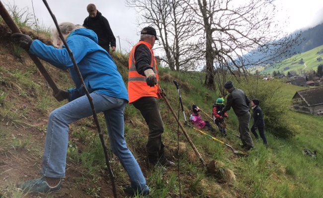 Pflanzaktionen hier und dort vom Verein Lebenswertes oberstes Toggenburg