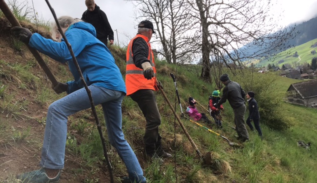 Der stellenweise abgerutschte Hang wird mit verschiedenen Sträuchern befestigt.