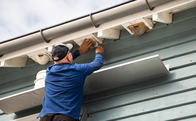 Die Schwalben-Hausmeister waren wieder in Aktion