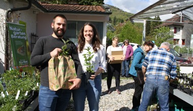 Mehr Naturvielfalt: 3800 heimische Wildstauden gepflanzt
