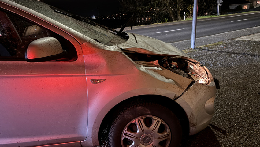 Die vom Wildunfall betroffenen Autos wurden gehörig demoliert.