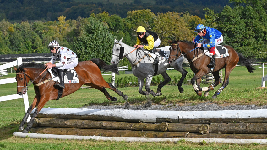 Taktisch geschickt: Jürg Langmeier auf On your Mark (rechts) überliess die Führungsarbeit der Konkurrenz und schlug dann in der letzten Kurve zu.