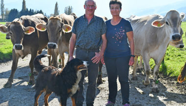 Im Stall der Familie Preisig stehen die Miss Sennwald und andere Schönheiten