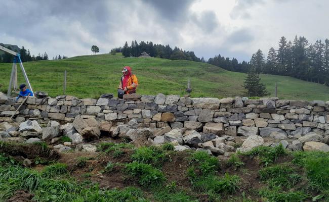 Stiftung engagiert sich für Trockenmauern