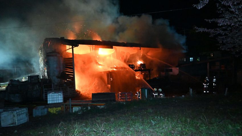 Stall in Vollbrand, Kühe gerettet: Löscharbeiten dauern an – grosser Sachschaden Stall in Vollbrand, Kühe gerettet: Löscharbeiten dauern an – grosser Sachschaden