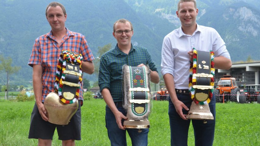  Dank den besten Noten durften sich Lukas Wäger (Mitte), Elmar Kobler (links) und Remo Wick über Preise freuen. Bilder: Katharina Rutz