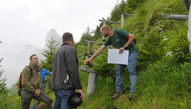 Beim Aufforstungsprojekt am Stauberengrat sind stabile Bäume das Ziel