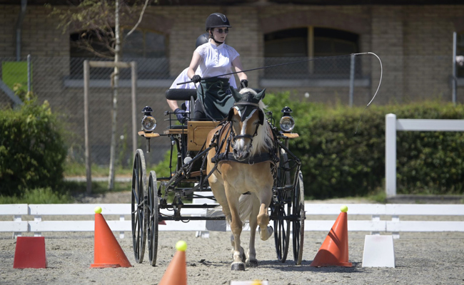 Erfolgreich im anspruchsvollen Parcours: Bronze für Laurina Bicker
