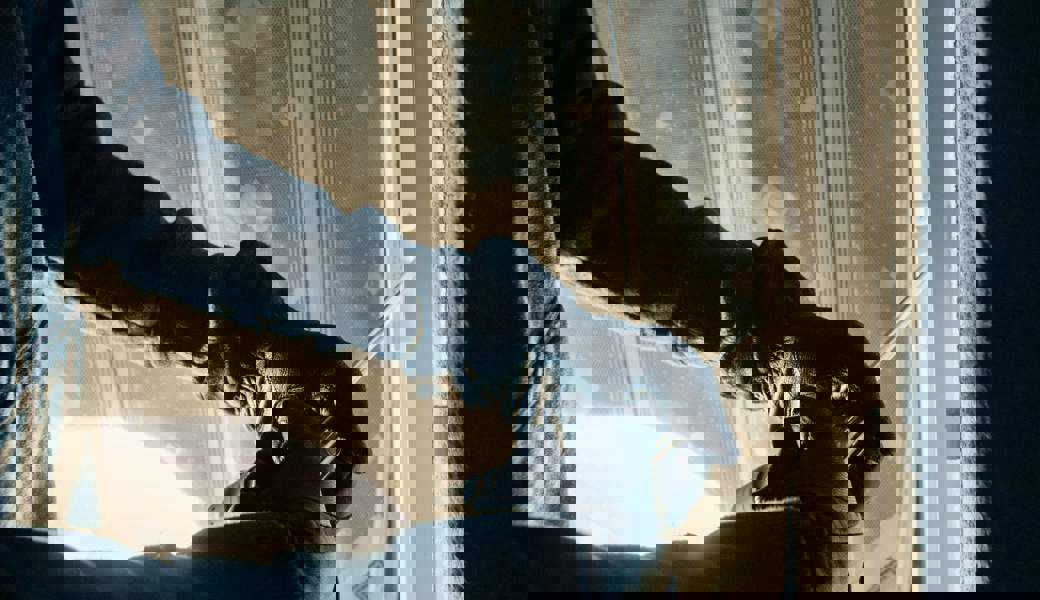 In Sargans wurde in der gleichen Strasse an zwei Orten eingebrochen: Die Kantonspolizei prüft einen allfälligen Zusammenhang.