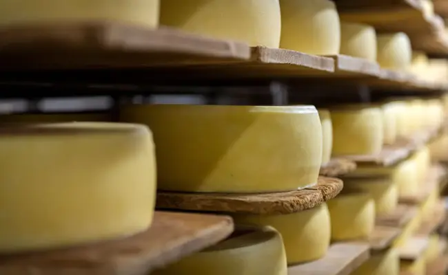 Chef weg und ein Loch von 280’000 Franken in der Kasse: So soll es bei Tilsiter jetzt weitergehen