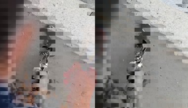 Feuerwehren setzen auf Schlüsselhülsen: Das kleine Detail, das im Notfall Tausende Franken spart