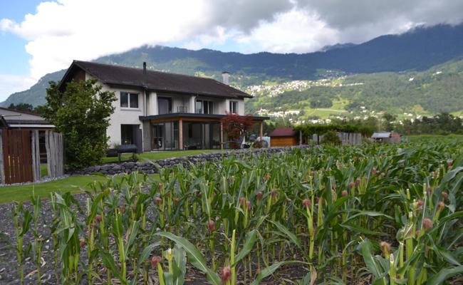 Föhrenhof: Vom Milchbetrieb zum Saatgutspezialisten