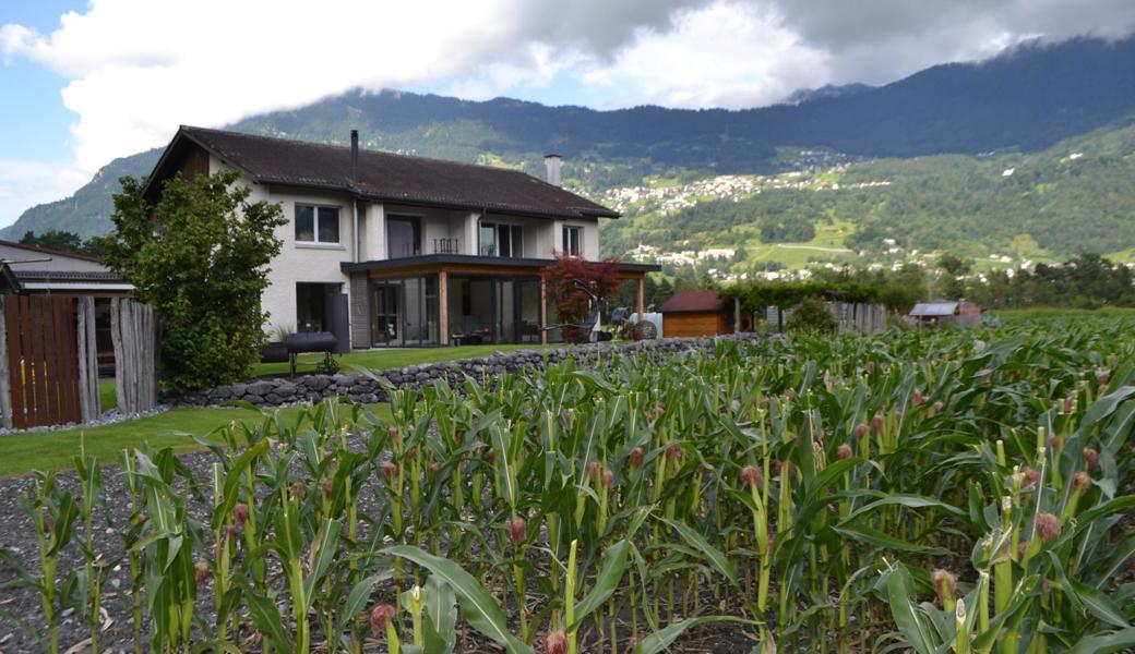 Das Doppelwohnhaus des Föhrenhofs. Gleich daneben befinden sich Felder für die Saatmais-Produktion.