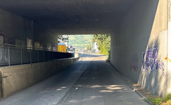 79-jähriger E-Bike-Fahrer verletzt sich bei Sturz