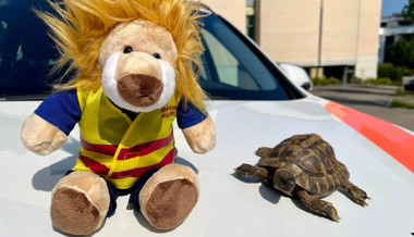 Die fünf skurrilsten Ostschweizer Polizeimeldungen 2024