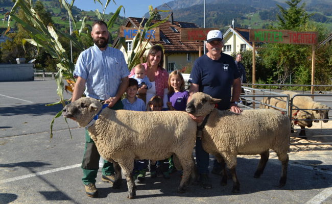 Hohe Qualität: Wenn einzig Nuancen über den Sieg in der Schafzucht entscheiden