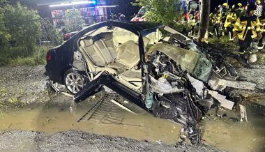 Vier Schwerverletzte nach Selbstunfall