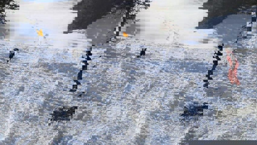  Hundeführer und Hund bleiben bei der Suche in stetem Kontakt. 