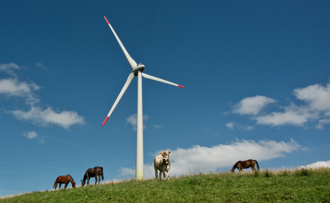 PFAS-Ablagerung: Windräder taugen nicht als Sündenbock