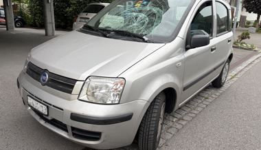 Sehbeeinträchtigter Fussgänger mit Blindenhund von Auto erfasst