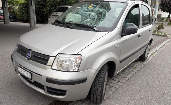 Sehbeeinträchtigter Fussgänger mit Blindenhund von Auto erfasst