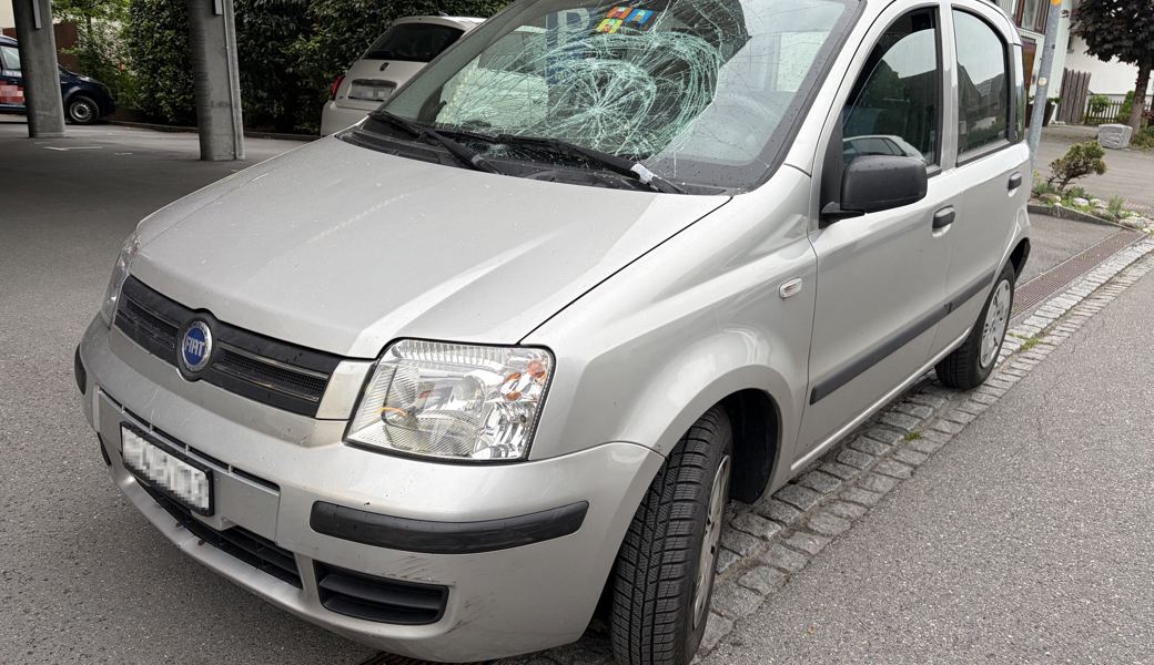 Sehbeeinträchtigter Fussgänger mit Blindenhund von Auto erfasst