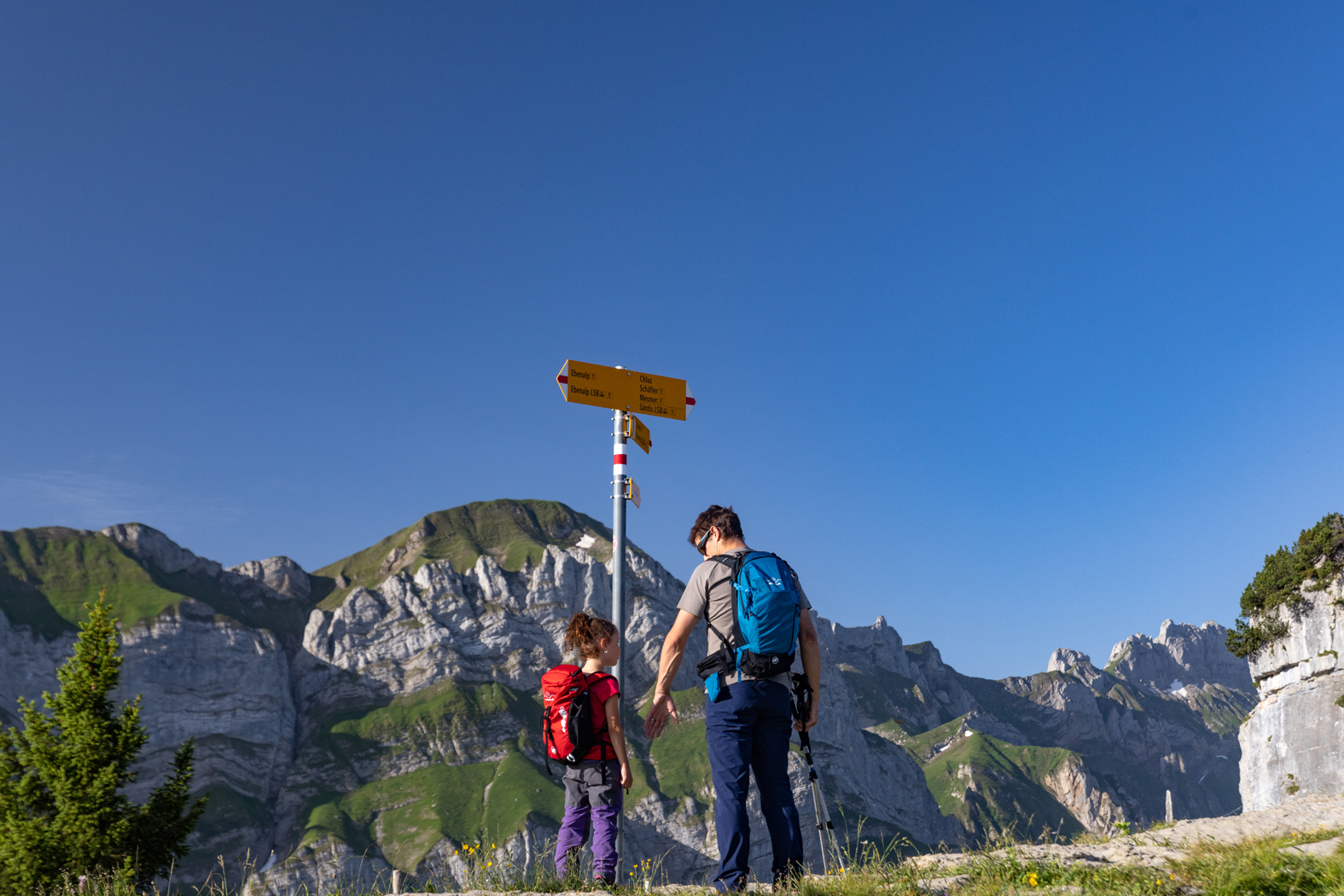Wandervergnügen im Alpstein: Der Sammelplausch geht in die nächste Runde