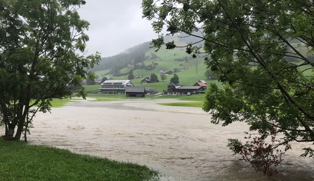  Wasser anstatt Wiese: Die Thur trat am Freitag über die Ufer. 