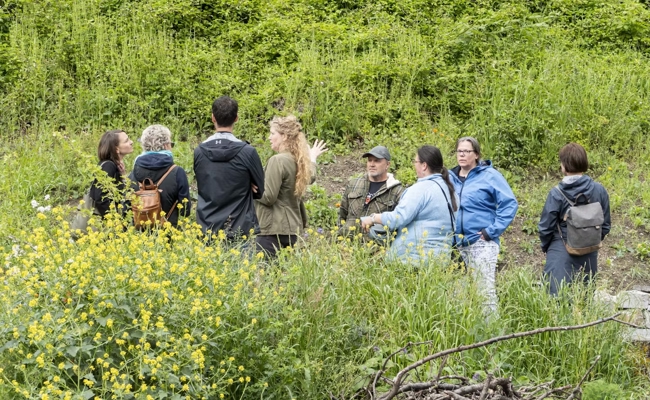 Artenreiches Kleinod zwischen Autobahn und Parkplätzen