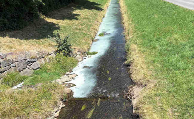 Malerfarbe in Kanal gelangt