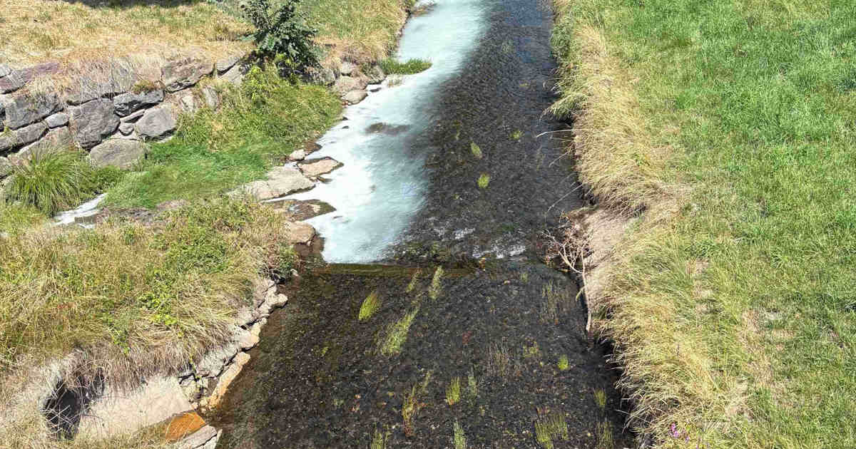 Paint enters canal