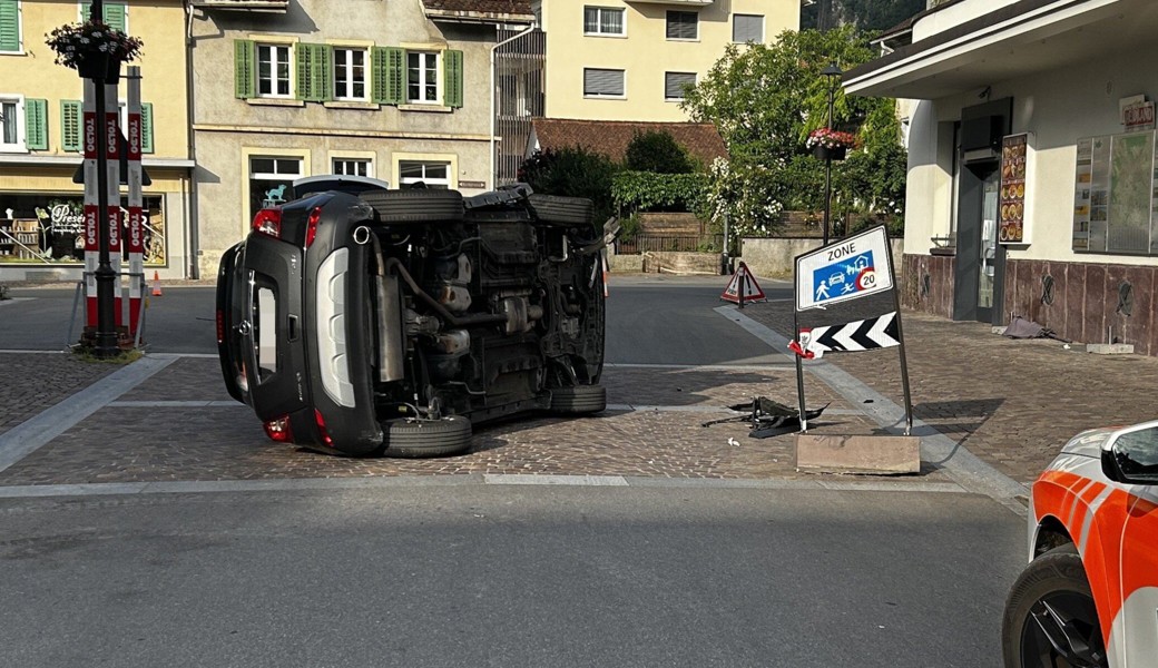 Die Lenkerin stiess mit einer Signaltafel zusammen.